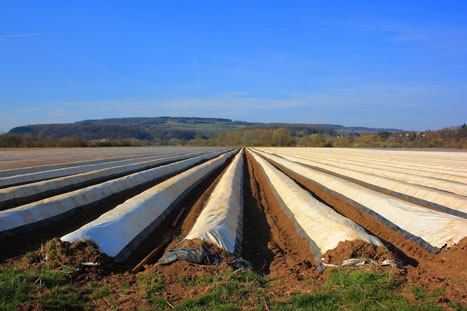 BUND: EU-Agrarsystem