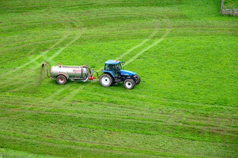 BUND: EU-Agrarsystem