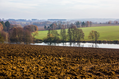 BUND: EU-Agrarsystem