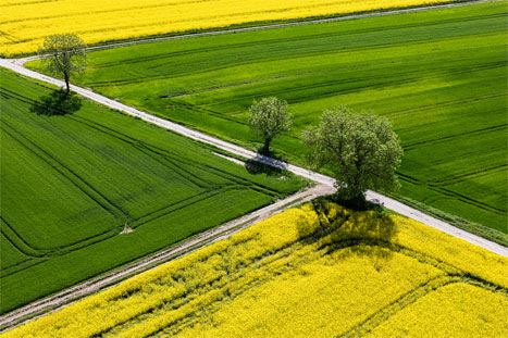 BUND: EU-Agrarsystem