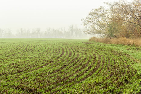 BUND: EU-Agrarsystem