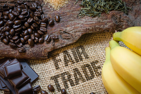 BUND: EU-Agrarsystem