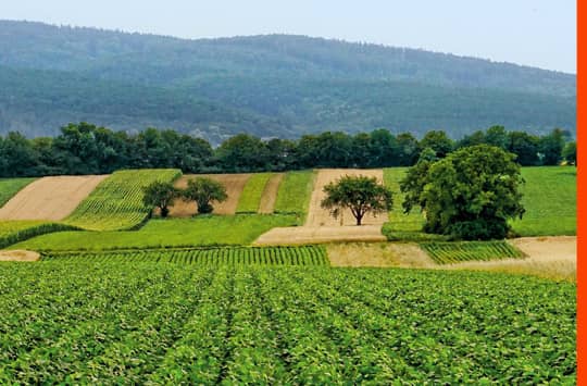 Langzeitstudie: Umwelt- und Klimawirkungen des Öko-Landbaus